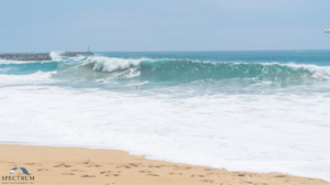 Read more about the article Charitable Planning with Employer Stock