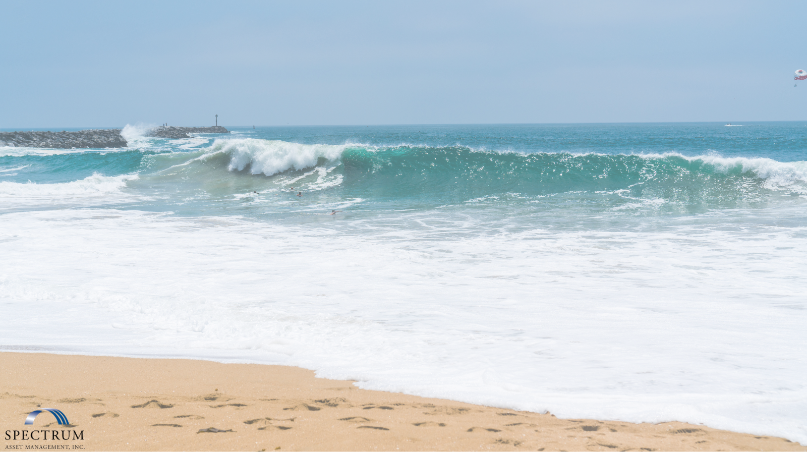 You are currently viewing Charitable Planning with Employer Stock