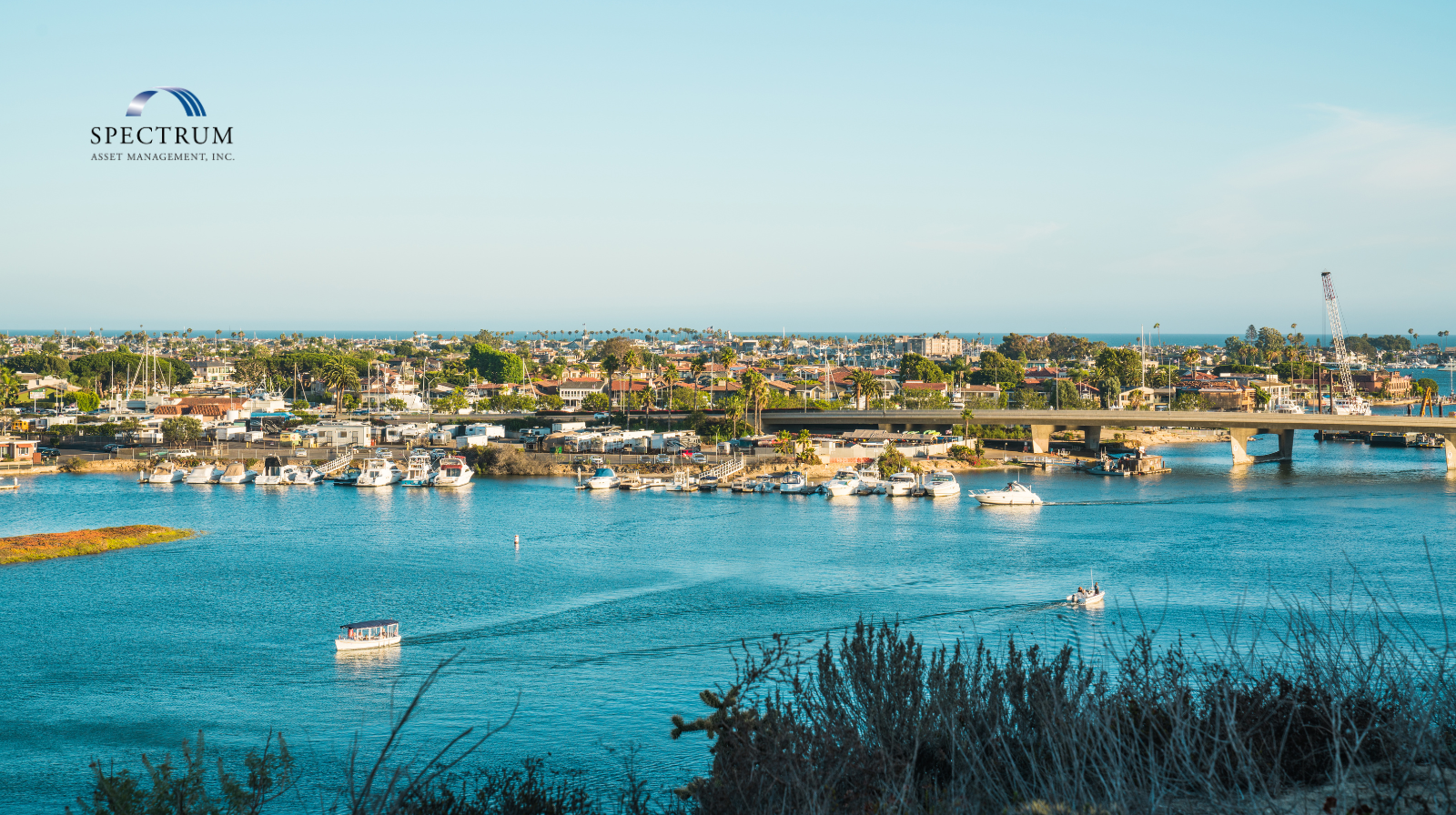 You are currently viewing Executive Liquidity Planning Beyond RSUs