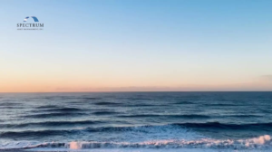 Read more about the article How Much of Your Net Worth Should Be in Employer Stock?