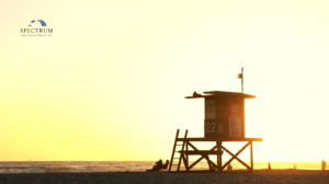 Read more about the article When Your Career and Net Worth Depend on One Company