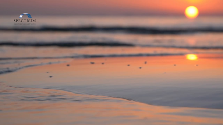 Read more about the article Why does diversifying company stock feel like the wrong move?