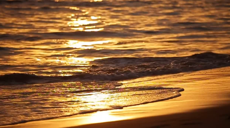 Read more about the article Golden Handcuffs: Knowing When It’s Okay to Leave